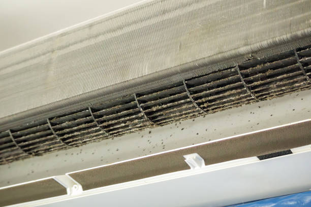 Best Air Duct Cleaning Company Near Me  in Fairmount, NY